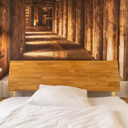 Giniushomes Apartment Am Bahnhof ,,Rustical Mine Room